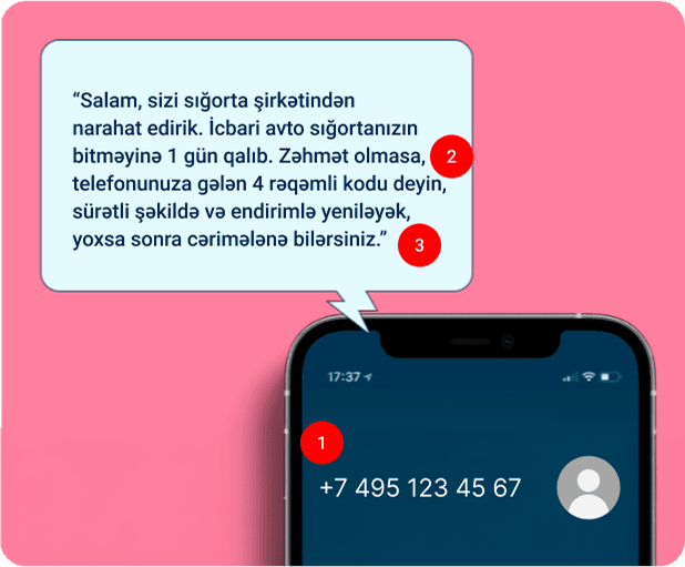 Phone Call Fraud