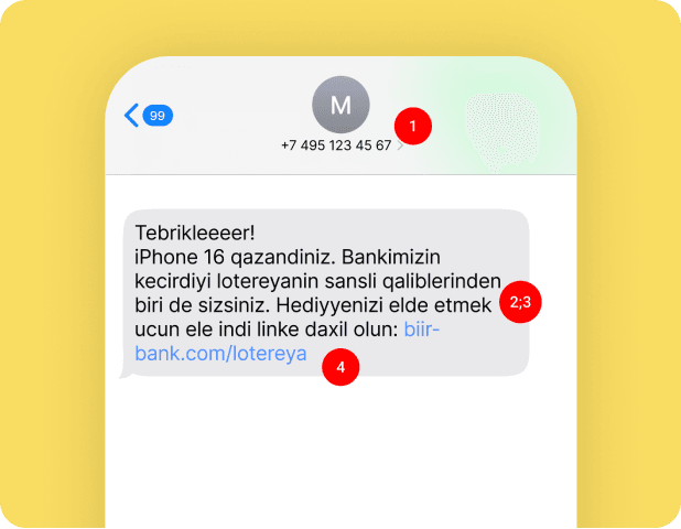 SMS Fraud